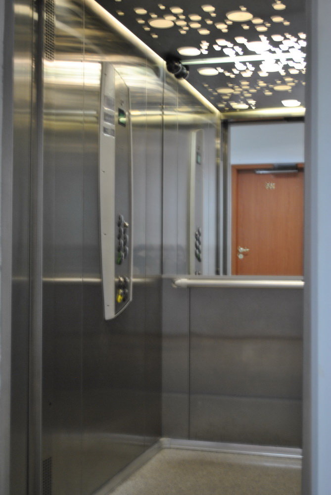   V-MOTION     5 